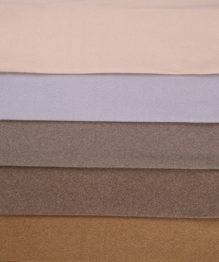 Bicolor loop pile fabric